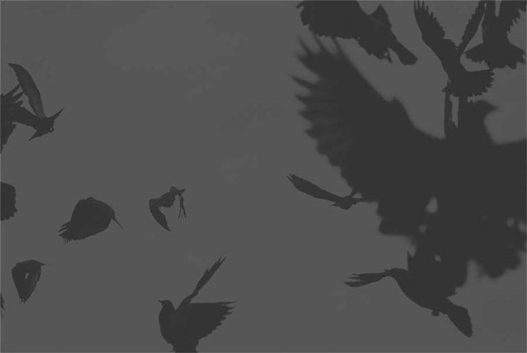 Visuel Festival Mauvais Genre 2023