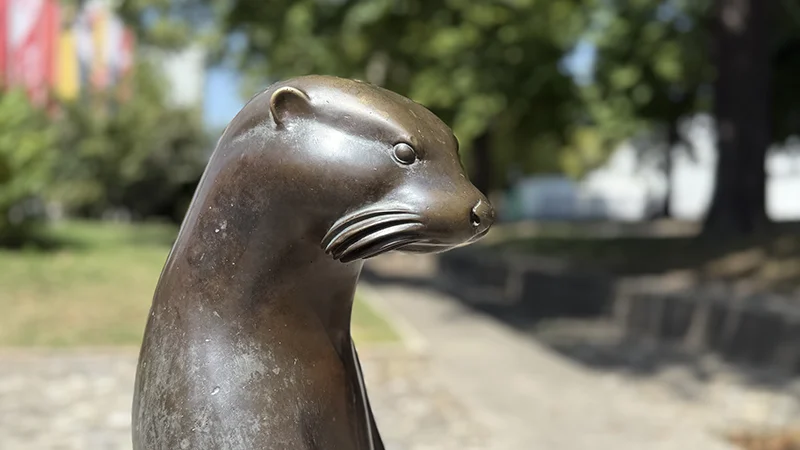 «Le Bestiaire carougeois», samedis du vélo, cyclolittérature